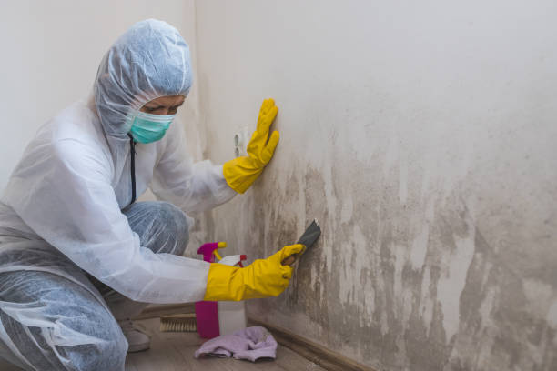 Best Mold Removal for HVAC Installations  in Pleasure Point, CA