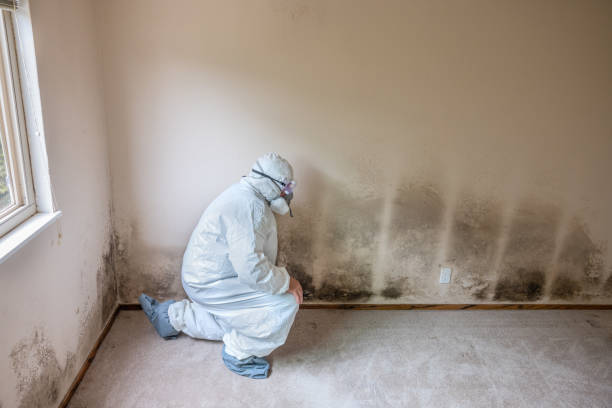 Best Residential Mold Inspection & Testing  in Pleasure Point, CA